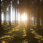 Appartamento Nahe Dem Skigebiet In Wehrstapel