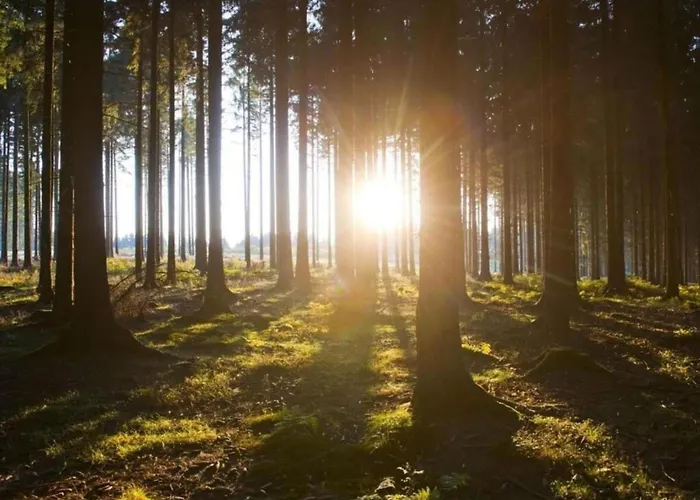 公寓 Nahe Dem Skigebiet In Wehrstapel