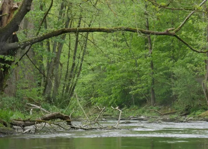 Nahe Dem Skigebiet In Wehrstapel 公寓