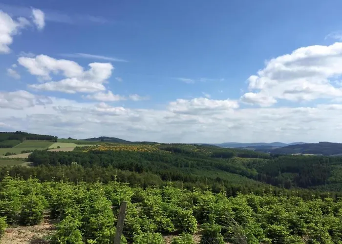 公寓 Nahe Dem Skigebiet In Wehrstapel 梅舍德